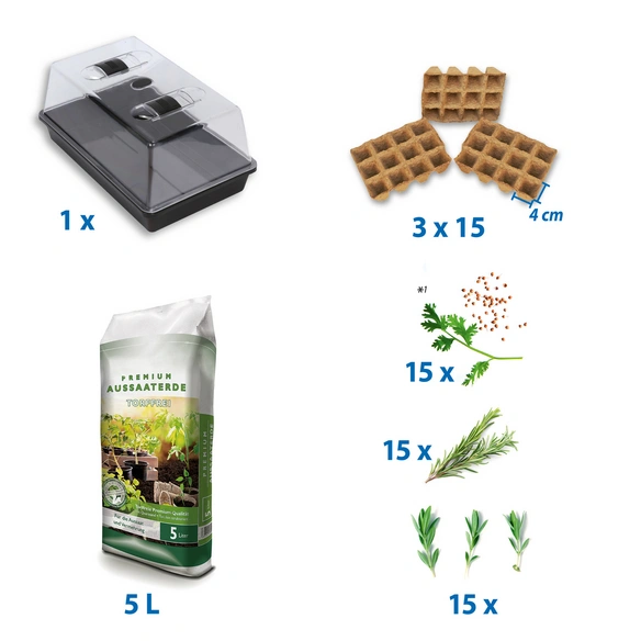 Anzucht-Set »Fresh BBQ«, braun, inkl.Samen, Töpfe, Erde
