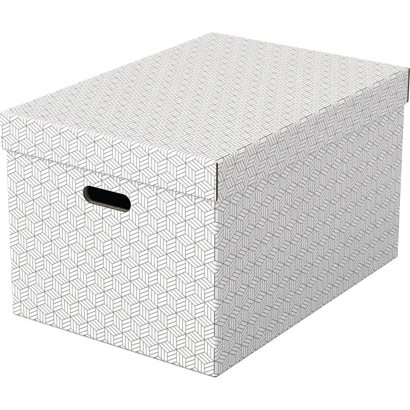 Aufbewahrungsbox 3er-Set Esselte Home L