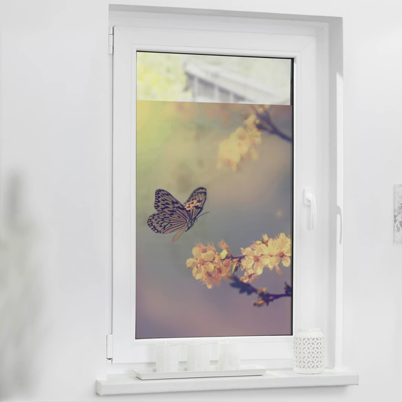 Fensterfolie, Polyvinylchlorid (PVC), Format: 50 x 50 cm (B x L) cm