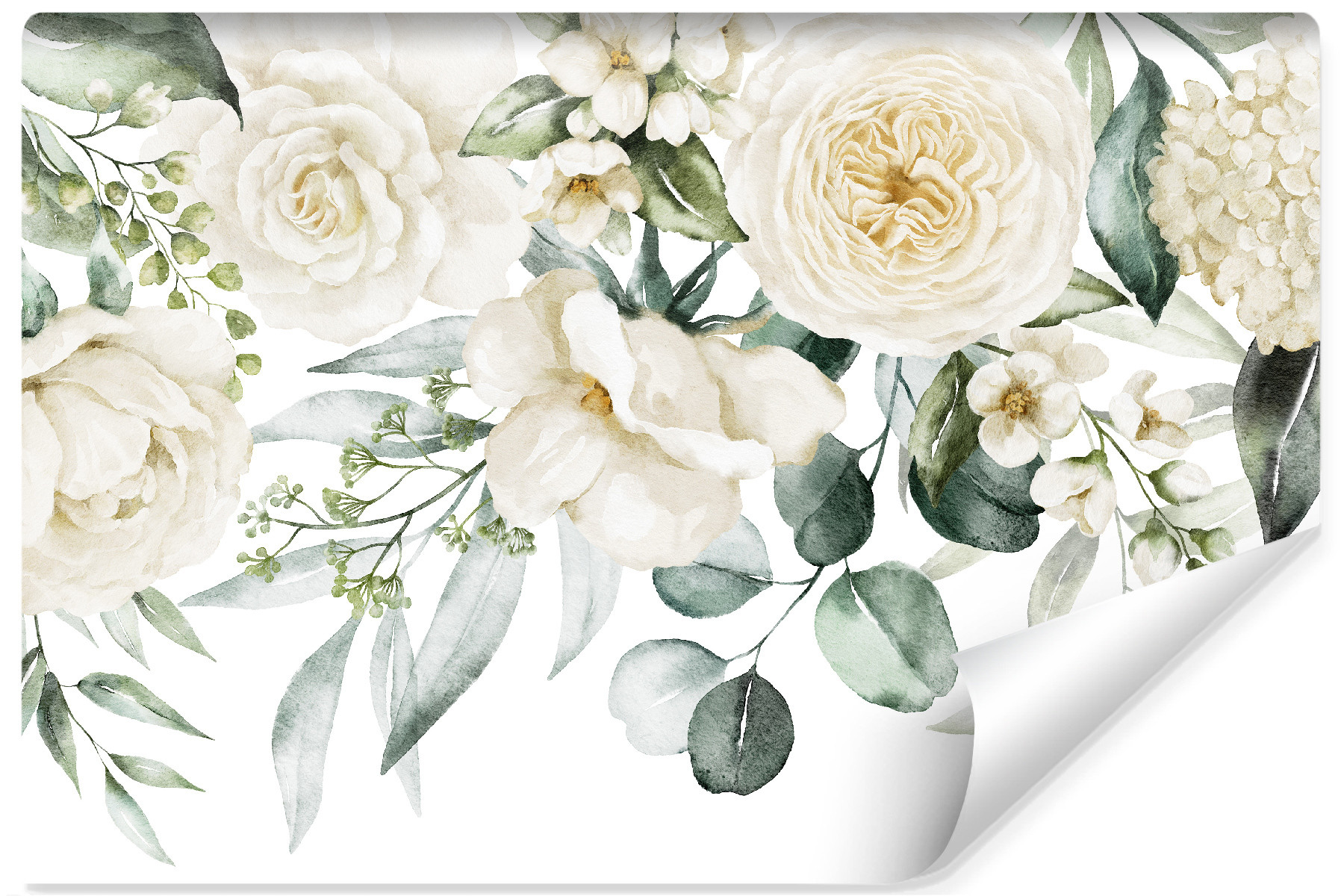 Fototapeta Do Salonu RÓŻE Peonie Akwarela 90x60cm