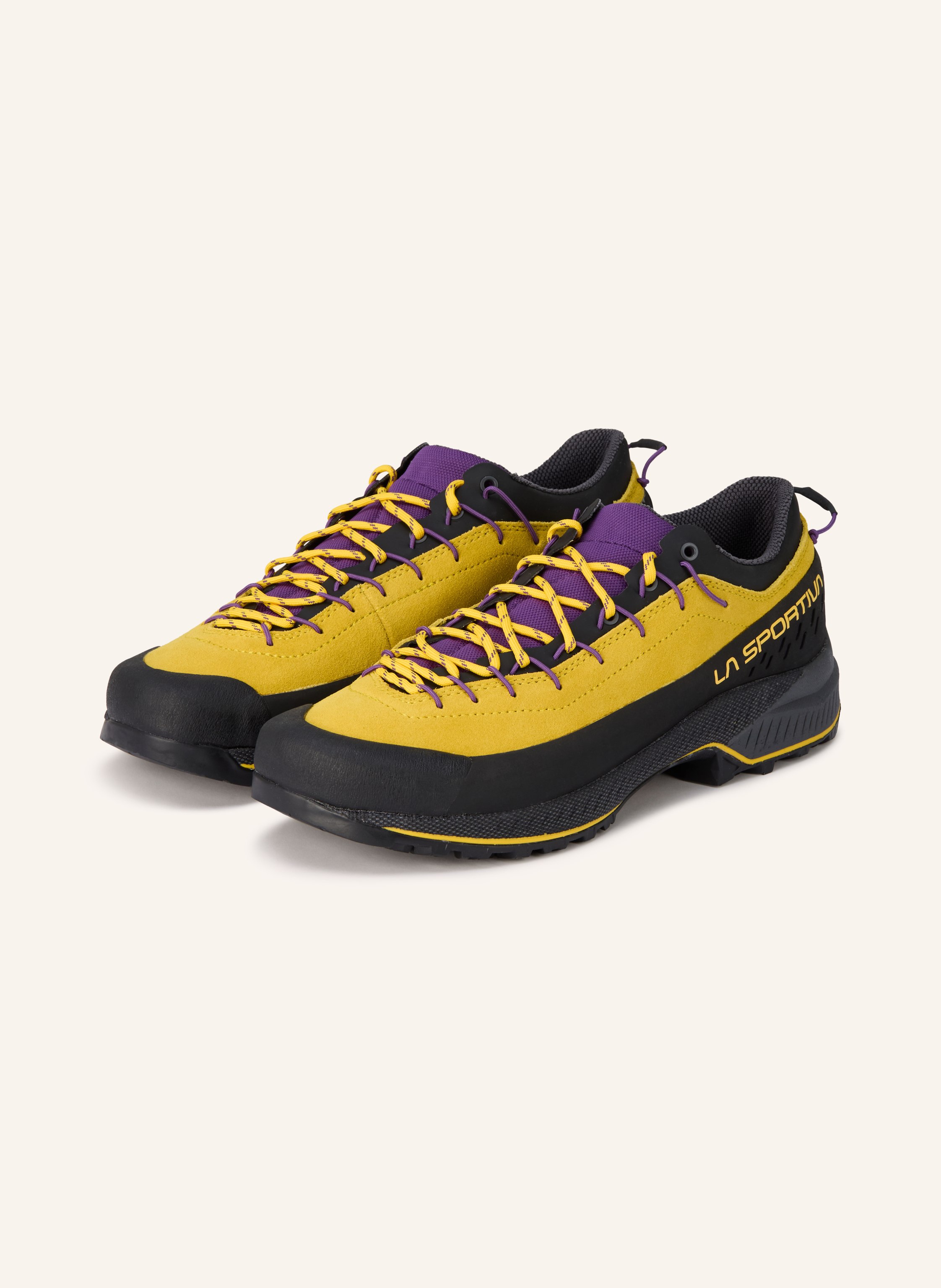 LA SPORTIVA Bergschuhe TX4 EVO