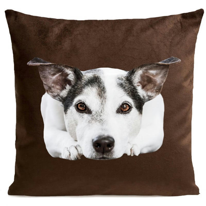 - Coussin chien velours marron 40x40cm