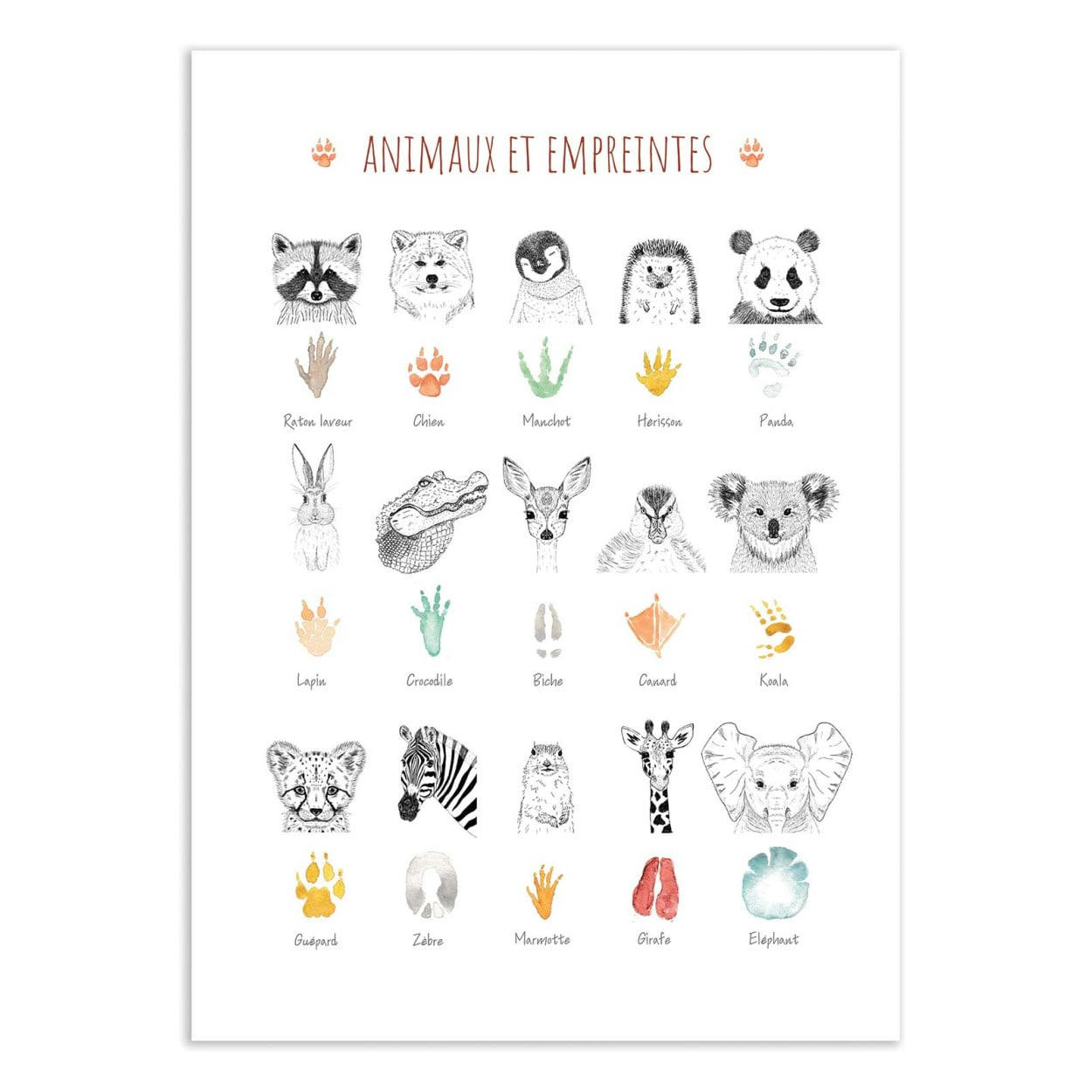 LES LOULOUS - ANIMAUX ET EMPREINTES - LES LOULOUS - Affiche d'art enfant 50 x 70 cm