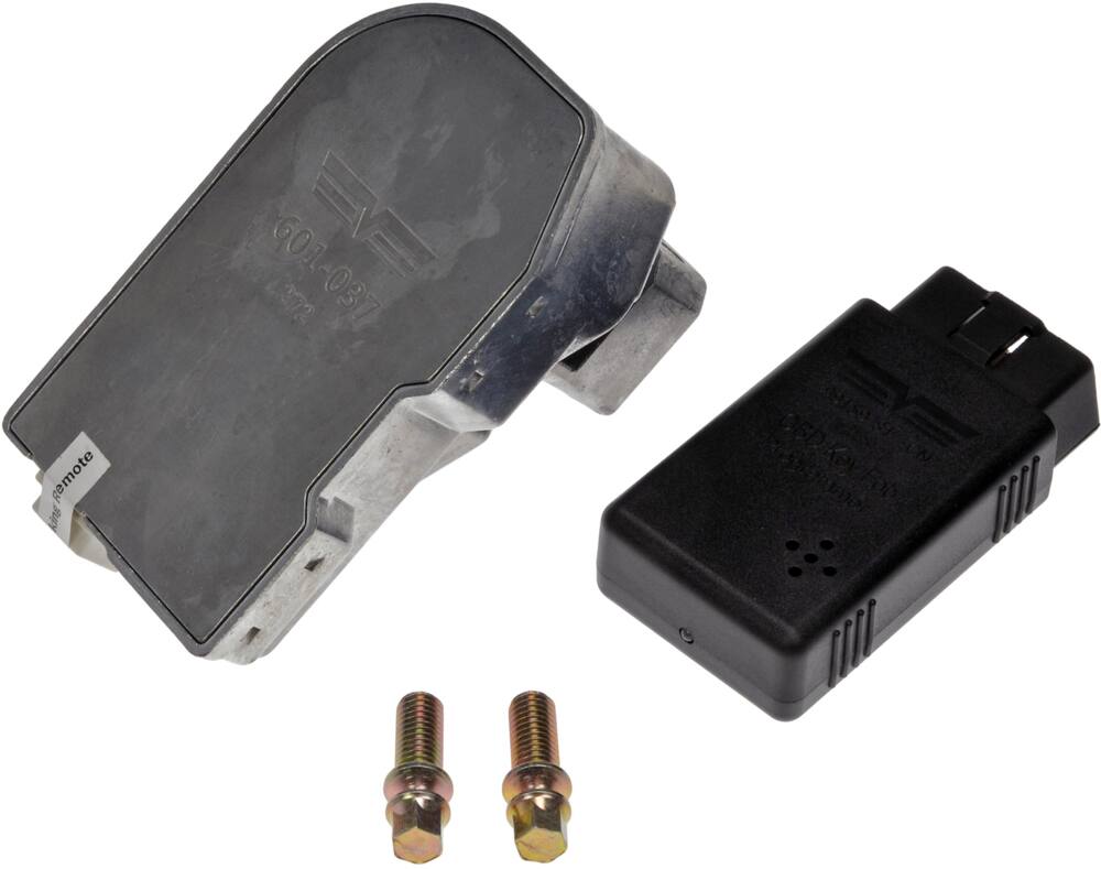 Dorman Ignition Lock
