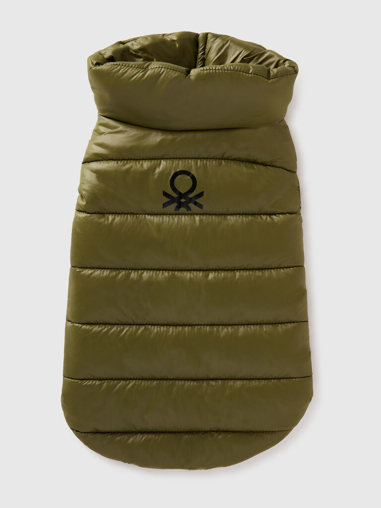 Green padded jacket for dogs