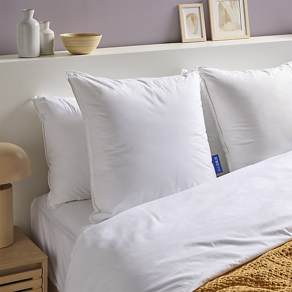 Oreiller souple 65x65 cm DUO DUVET CANARD MICROFIBRE