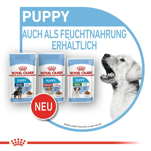 Hunde-Nassfutter »SHN Medium Puppy«, 140 g