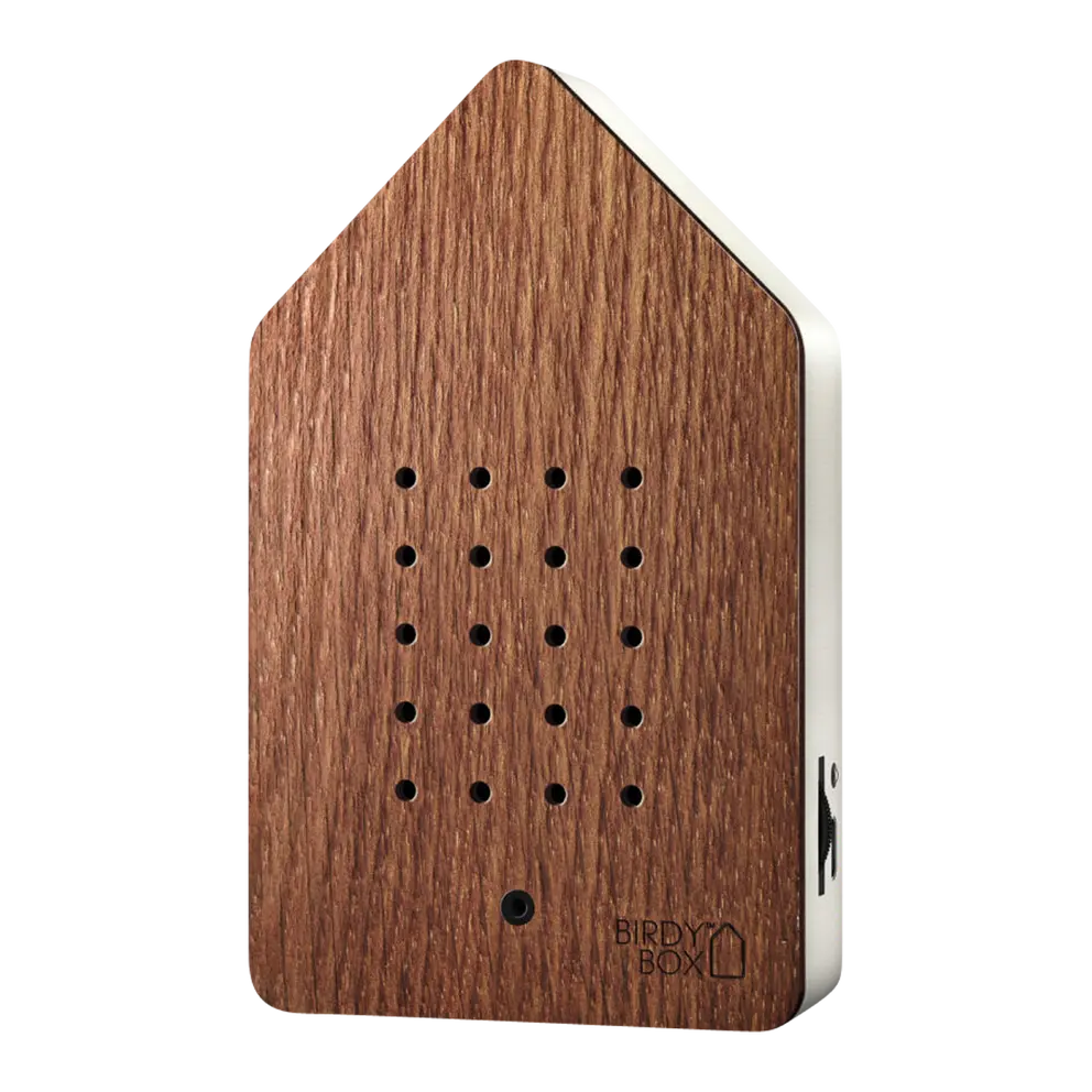 Soundbox Zwitscherbox