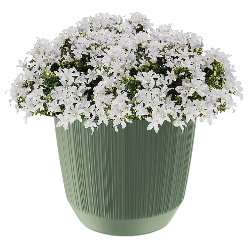 Prosperplast Plantenpot - stripe - olijfgroen - D20xH17 cm