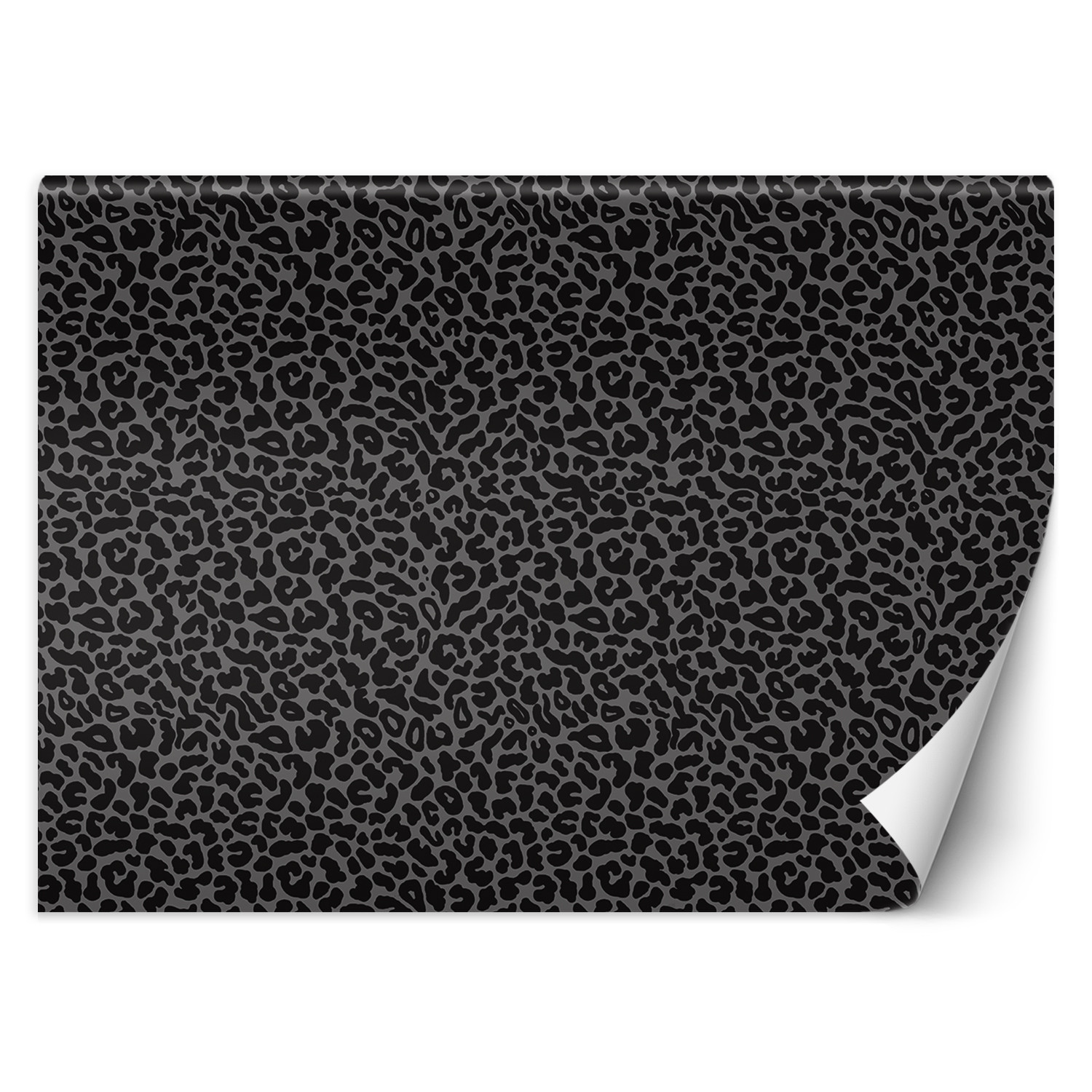 Feeby Fototapeta, Pantera leopard tekstura wzór 150x105
