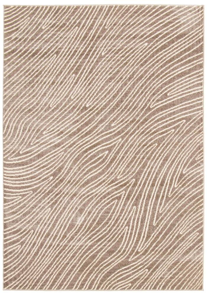 ECARPET Vector Indoor Area Rug, Taupe, Assorted Sizes