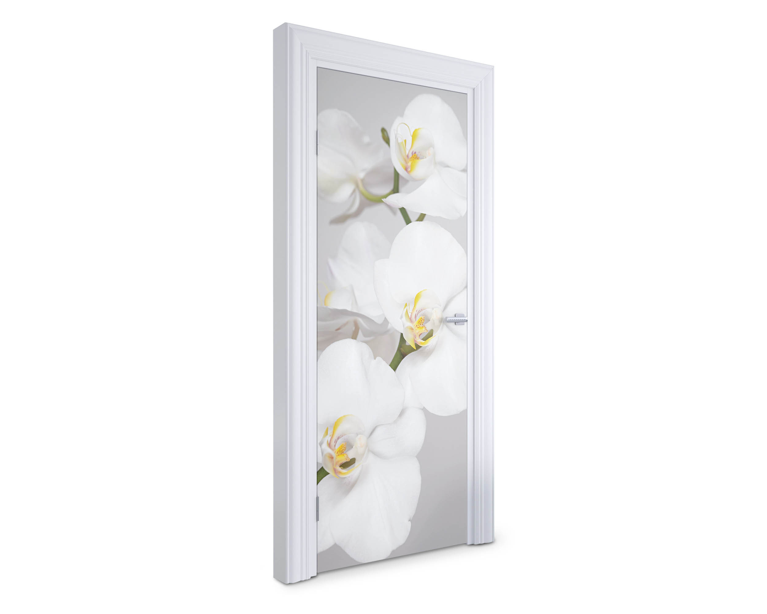 Naklejka na drzwi Białe orchidee 75x205 cm Fototapeta