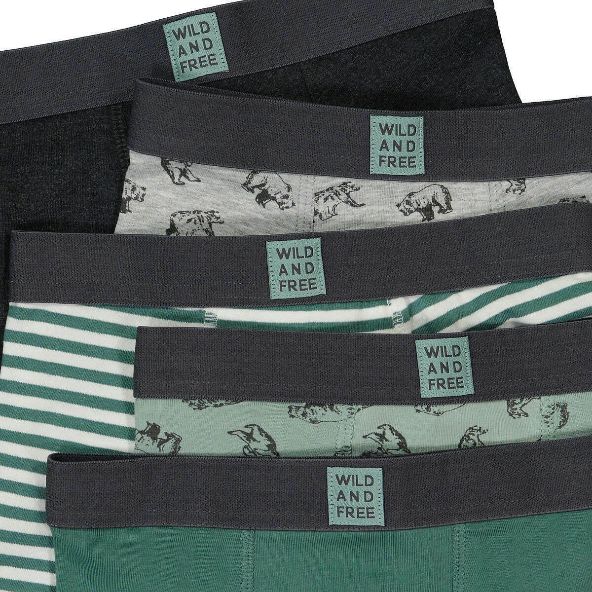 Lot de 5 boxers en coton imprimé ours