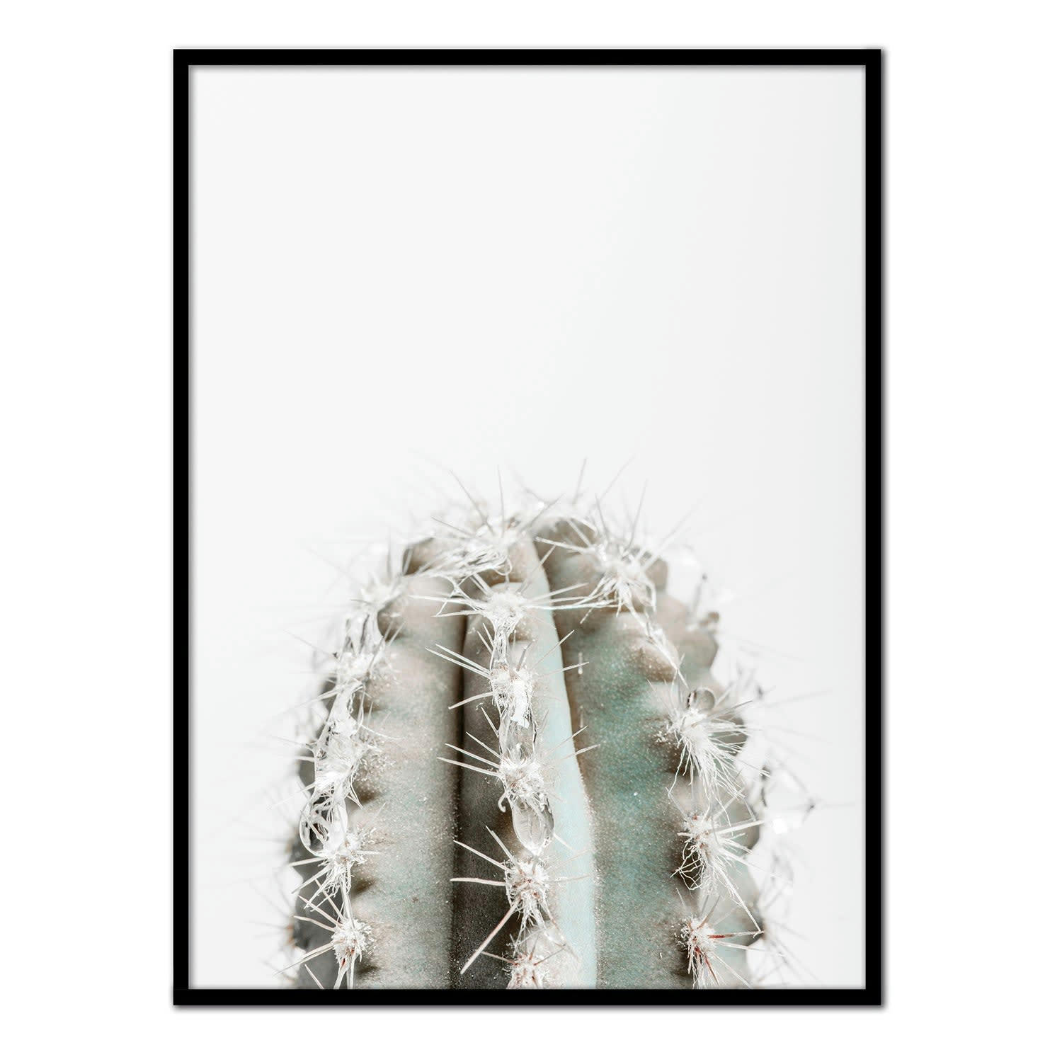 DESIERTO - Affiche avec cadre noir - Cactus dans le désert - 30x40