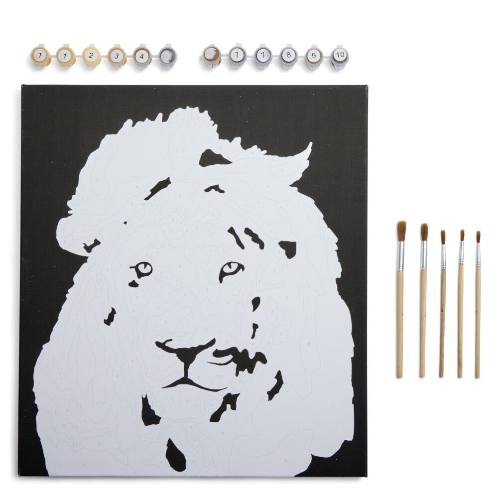 Kit peinture numéros 45x40cm avec peintures et pinceaux (3 modèles)