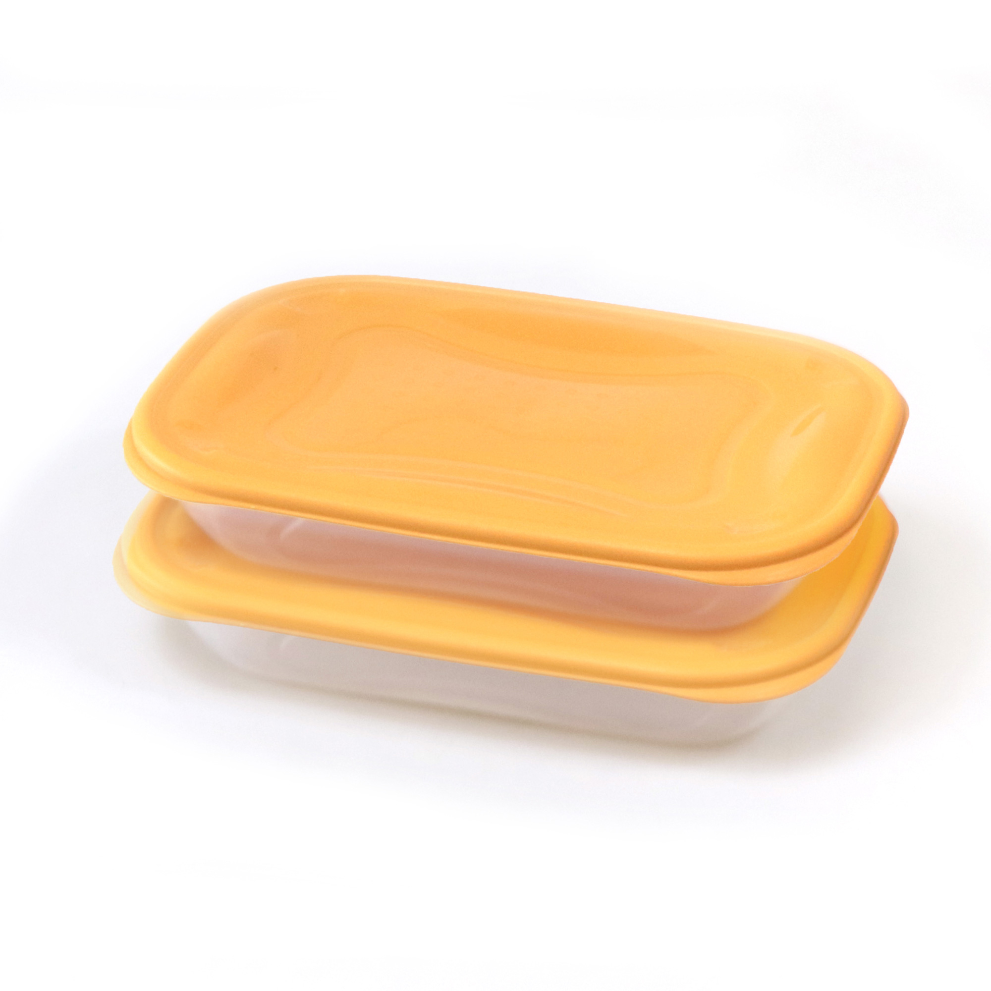 Conjunto de 2 caixas PRACTIFRESH 1,4l