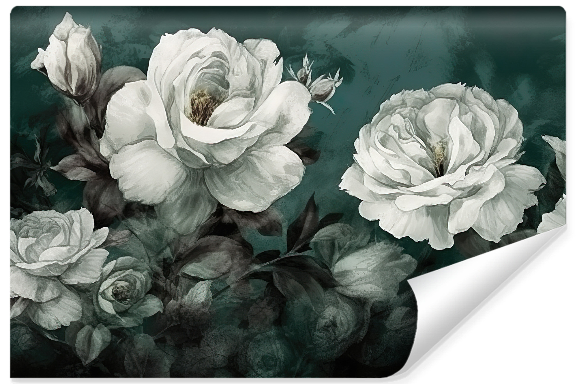 Fototapeta Do Salonu Akwarelowe Białe Peonie 90x60cm