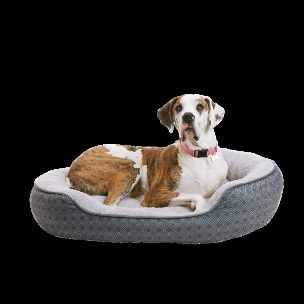 Petco Anti-Slip Round Plush Dog Bed, Washable, 43-in x 37-in, Grey