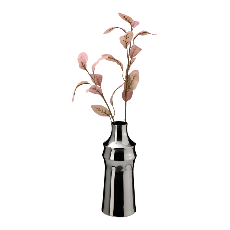Vase Lucida