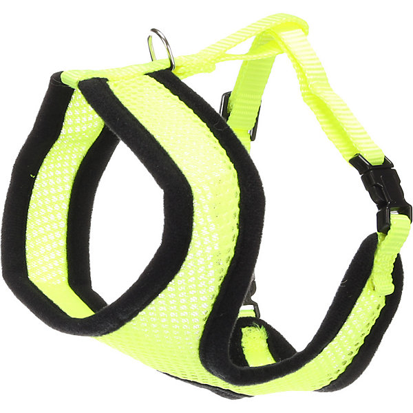 Harnais avec laisse couleur Jaune fluo pour chaton