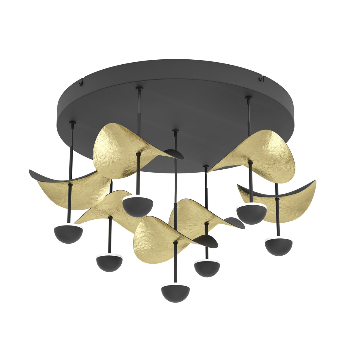 Stars of Light Plafondlamp Dracera