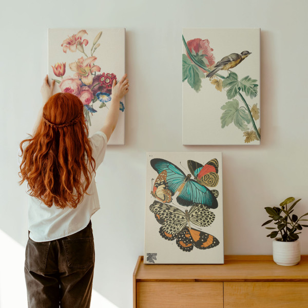 Obraz canvas 3 częściowy Pastelowe życie | 3x40x60 | Wallfluent