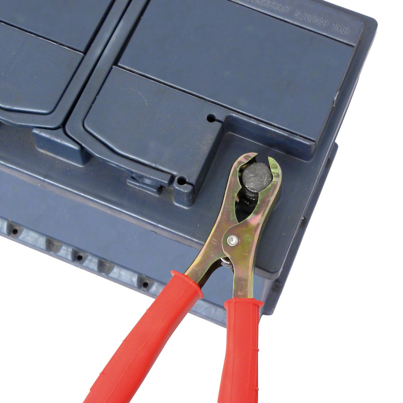 Pince de batterie 120 A 2 pièces CARPOINT