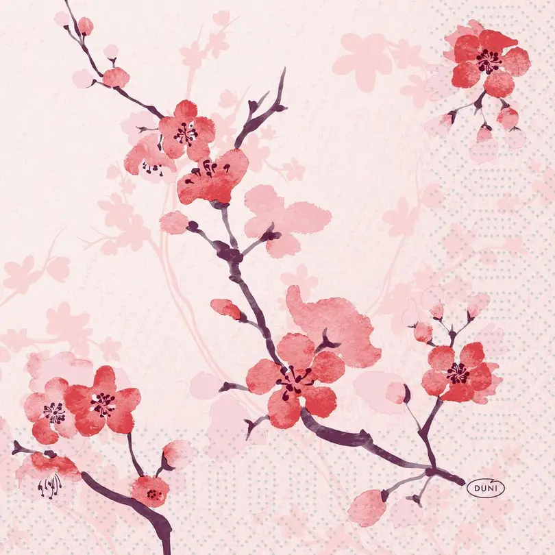 Serviette 50er-Set Cherry Breeze