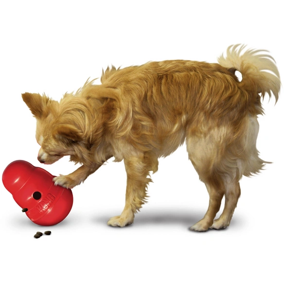 Hundespielzeug, mehrfarbig