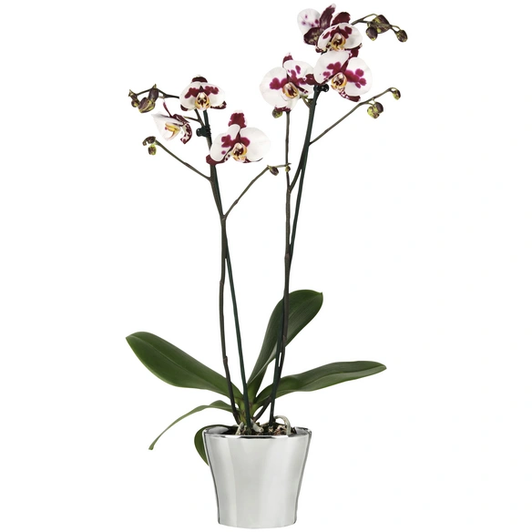 Übertopf »MIRROR SILVER«, Breite: 13,1 cm, silberfarben, Keramik