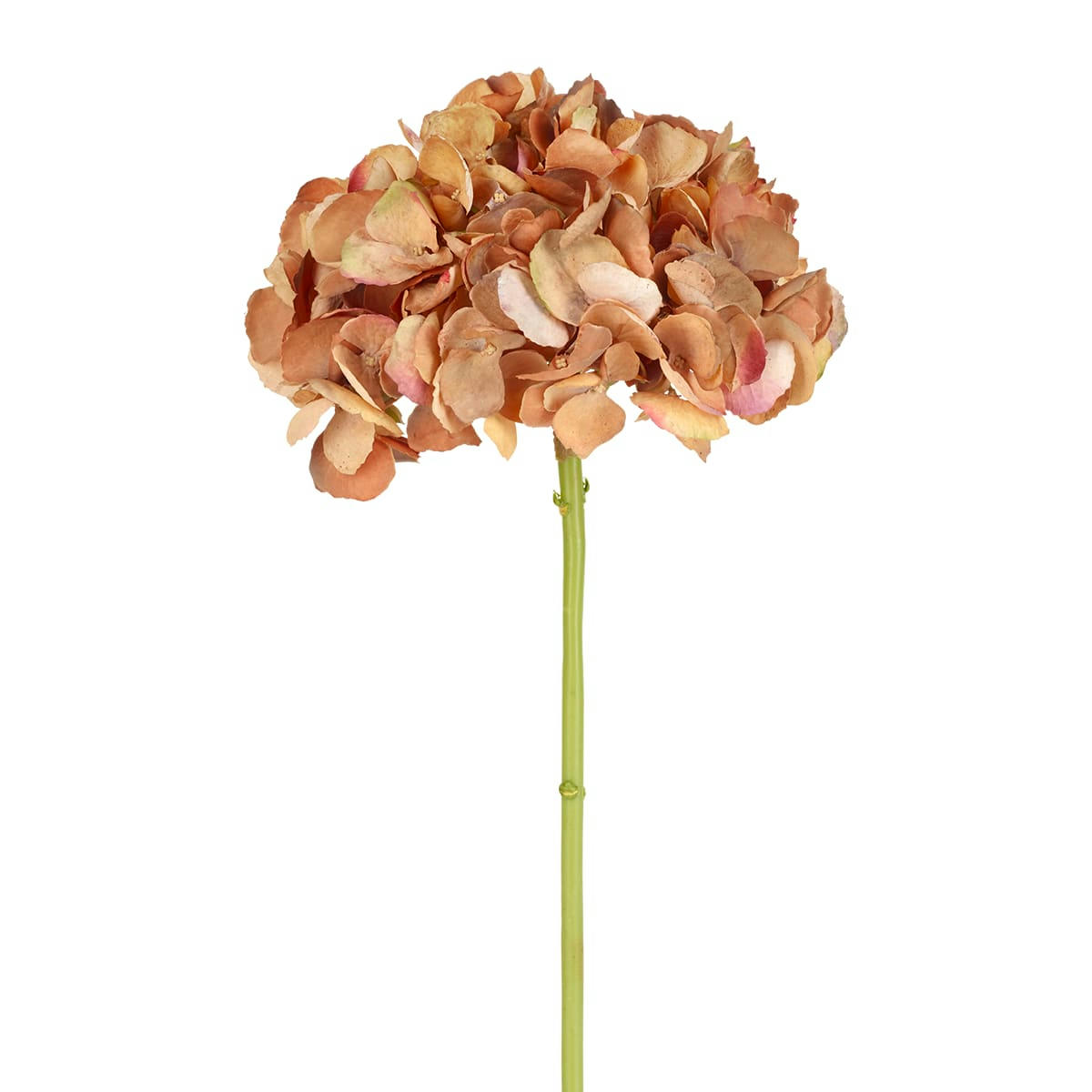 ANAE - Hortensia artificielle Anae H53cm