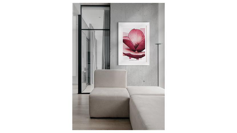 Obraz w ramie Shaded Pink Flower 62x82 cm