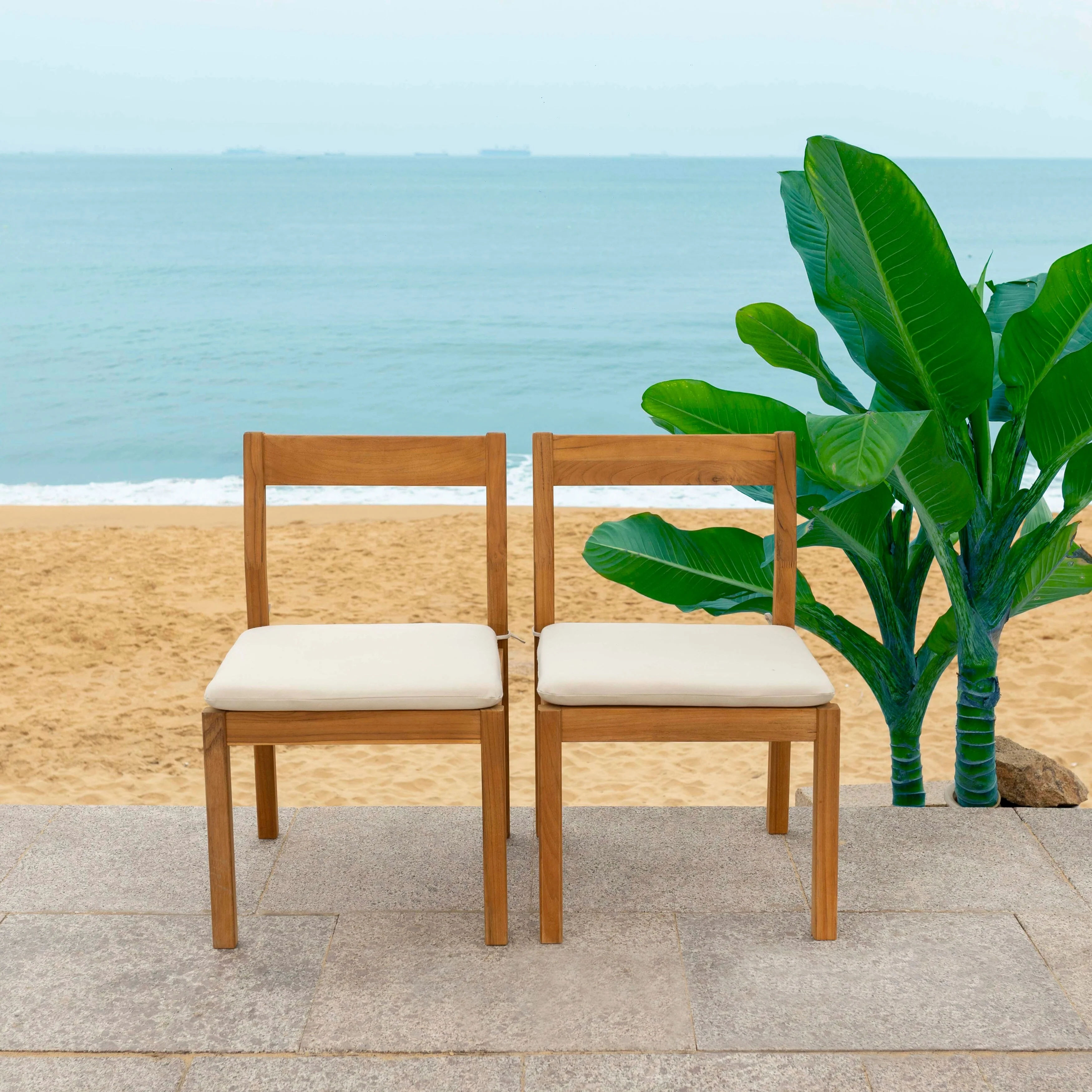 SAFAVIEH Couture Mayaguana Brazilian Teak Dining Chair (Set of 2) - 20W x 22D x 33H