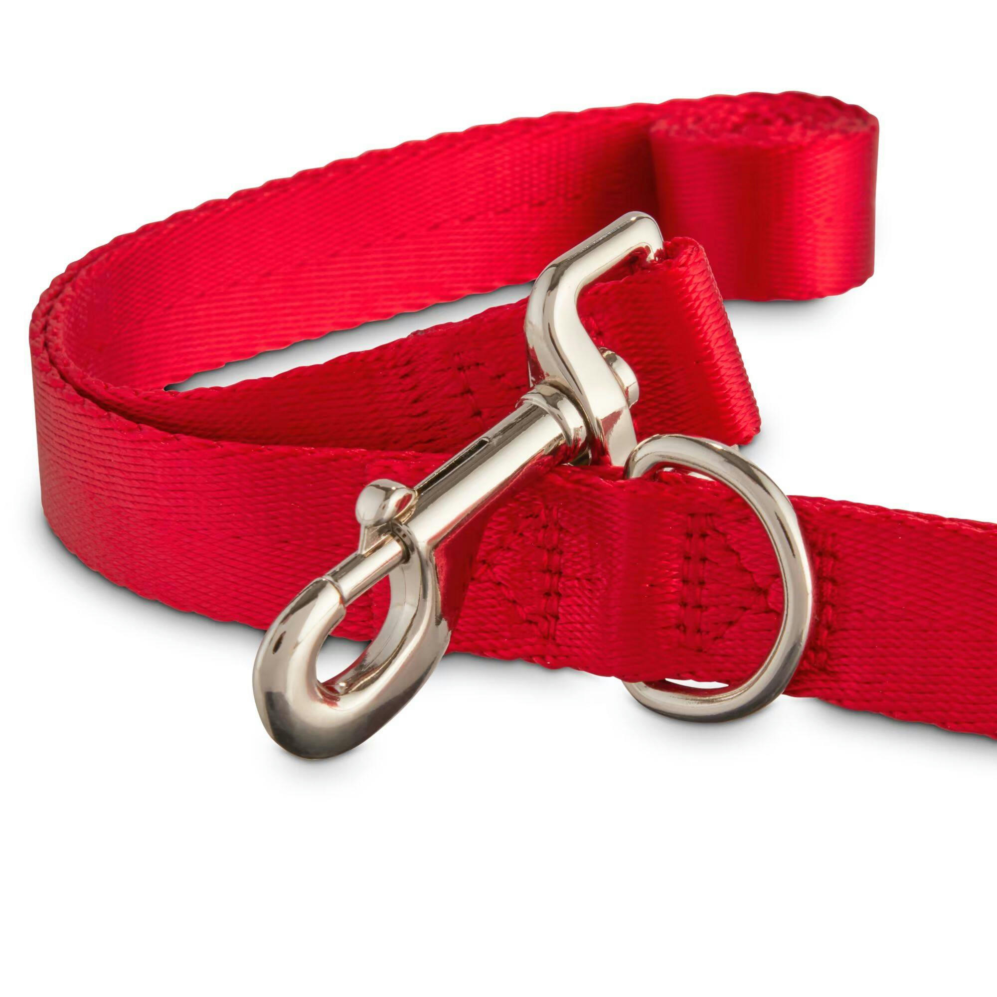 Petco Red Nylon Dog Leash, 4-ft