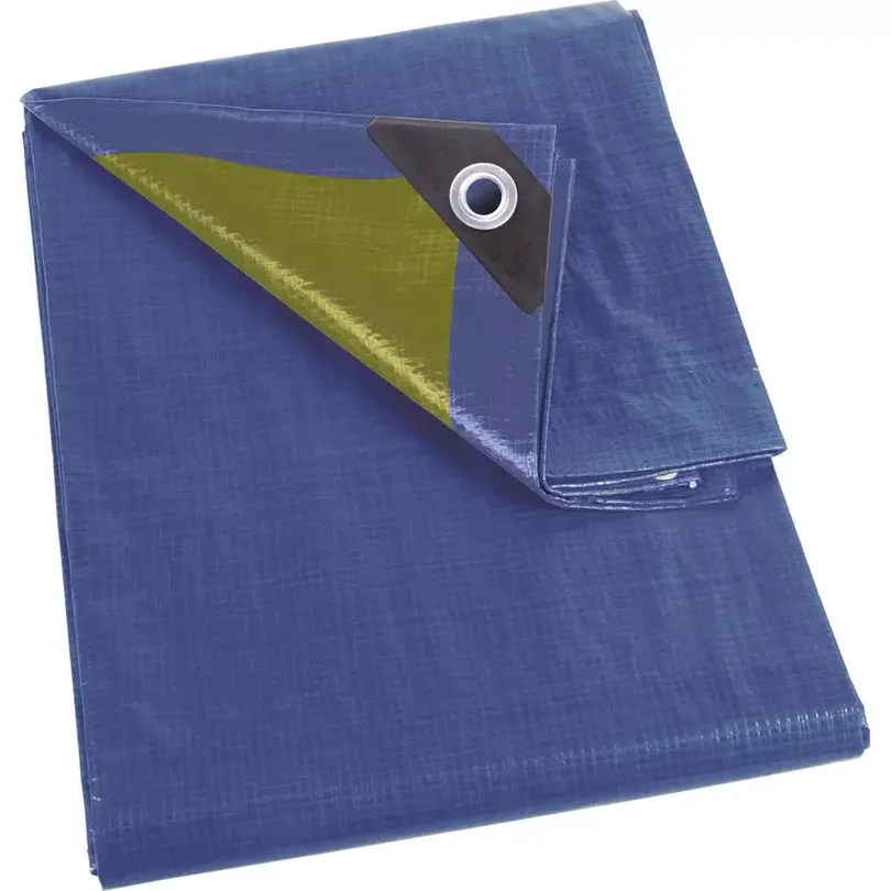 Plane Blache