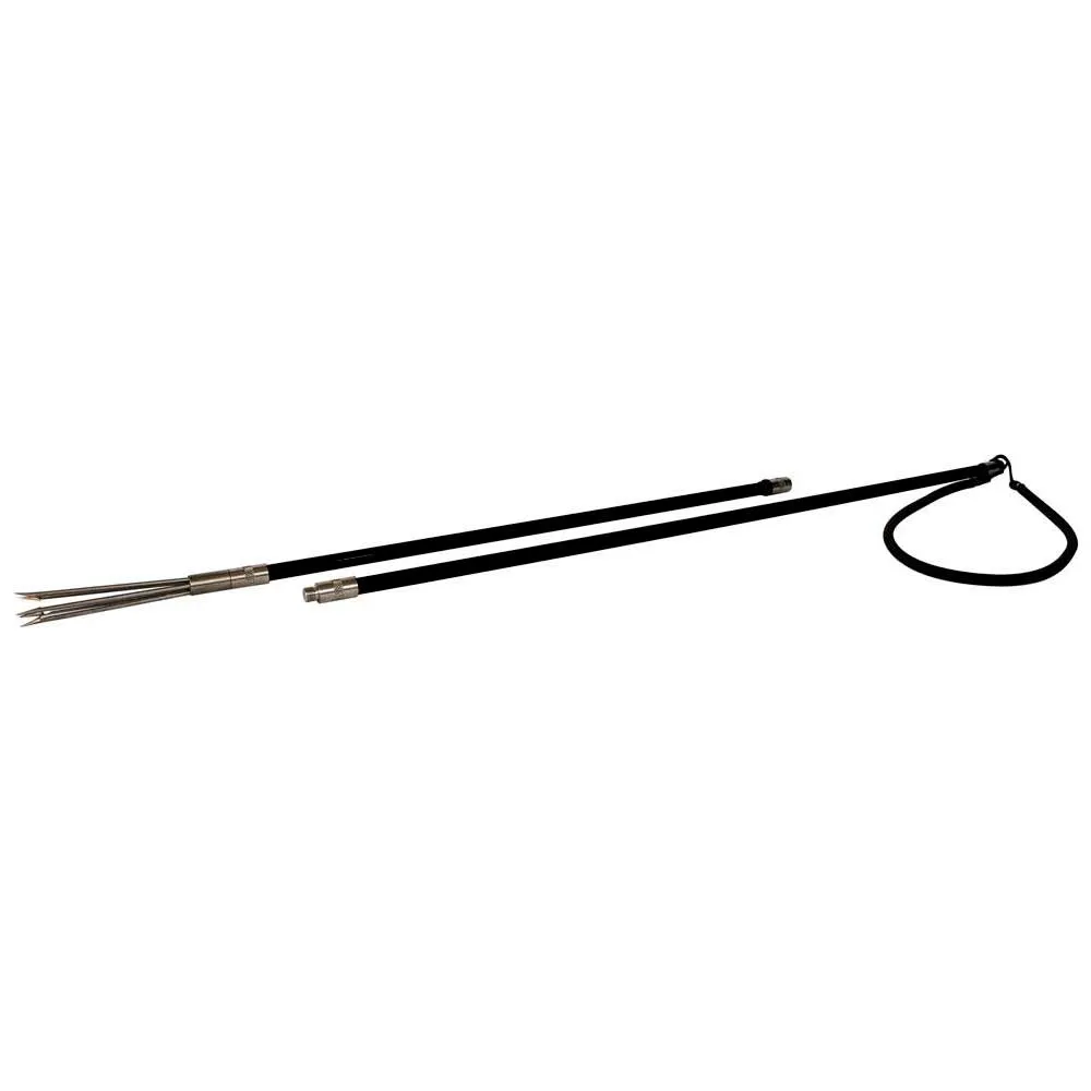 Epsealon Polespear Pole Spear