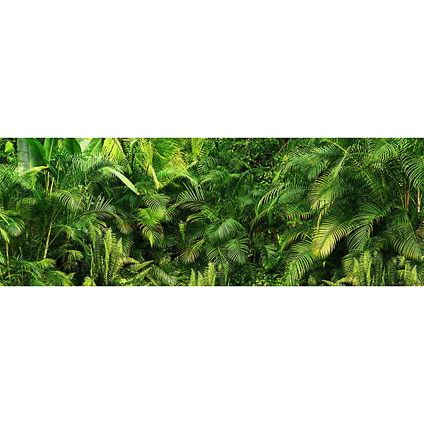 Papier peint panoramique intissé forêt fougère tropicale vert foncé, 16 lés, L.280 x l.800cm IDPanneaux