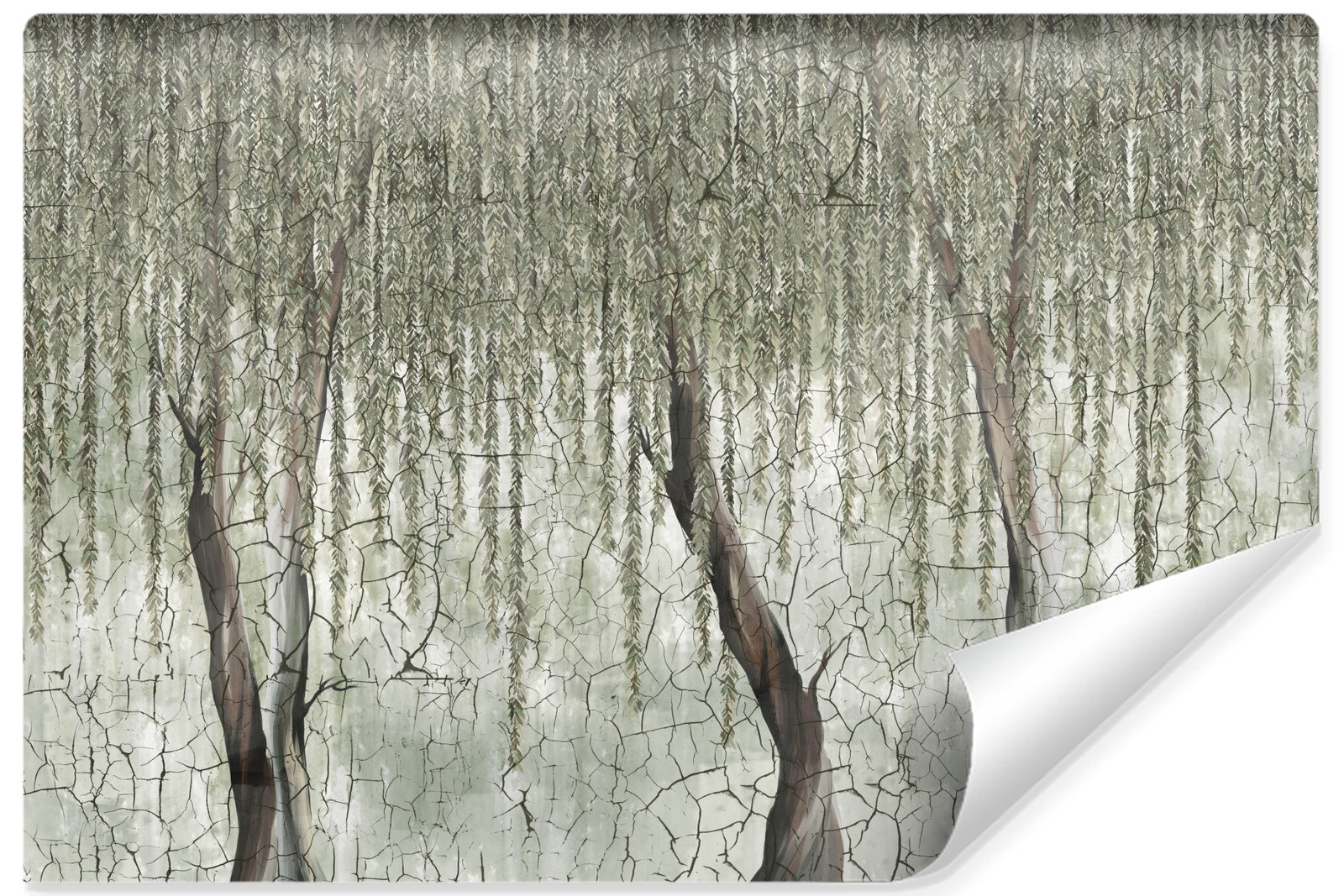 Fototapeta Drzewo Na Betonie 90x60cm