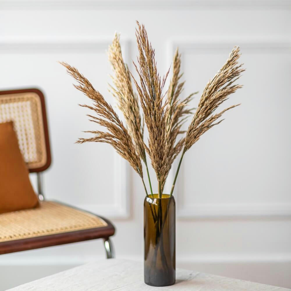 - Botte Petites Pampas