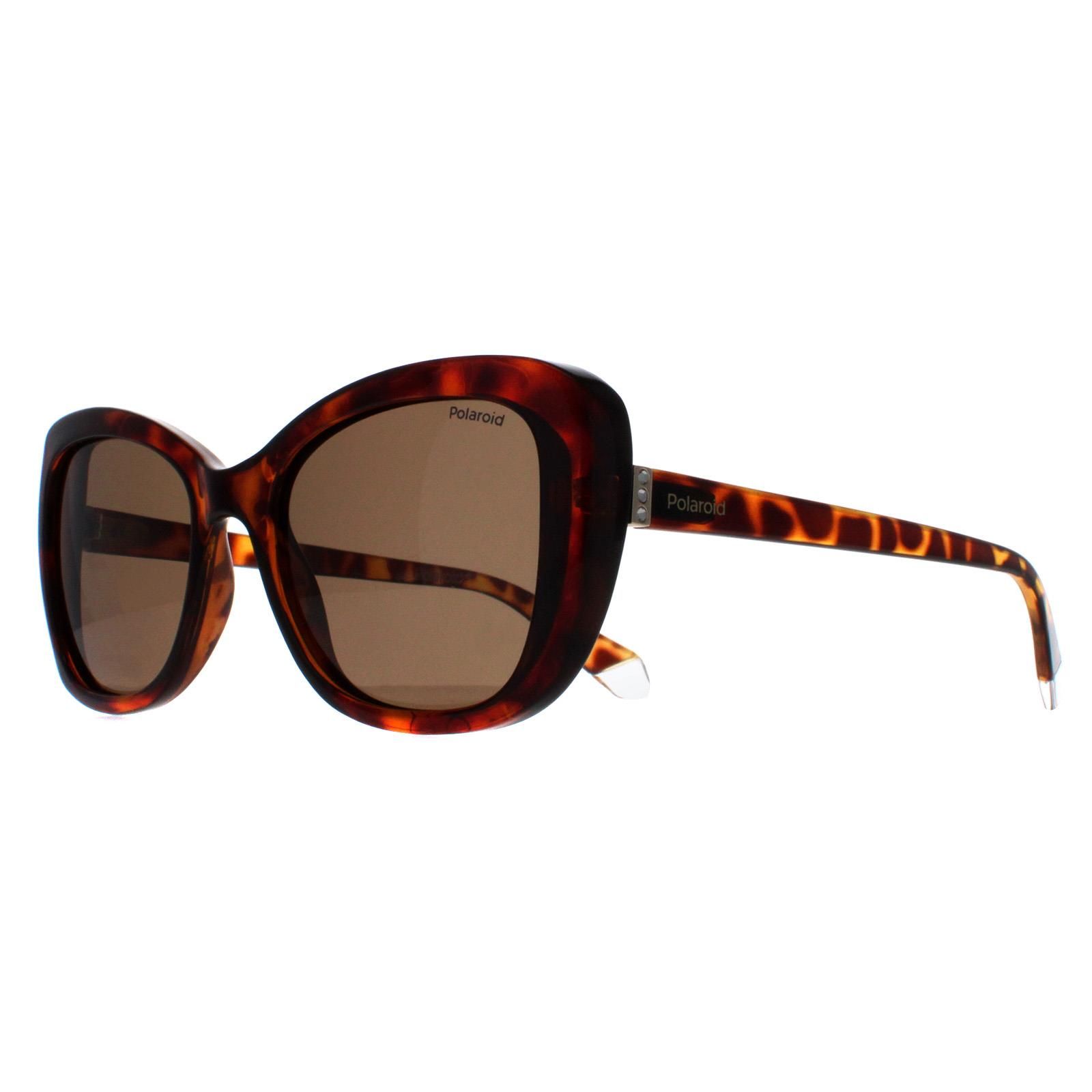 Polaroid Butterfly Havana Bronze Polarized PLD 4132/S