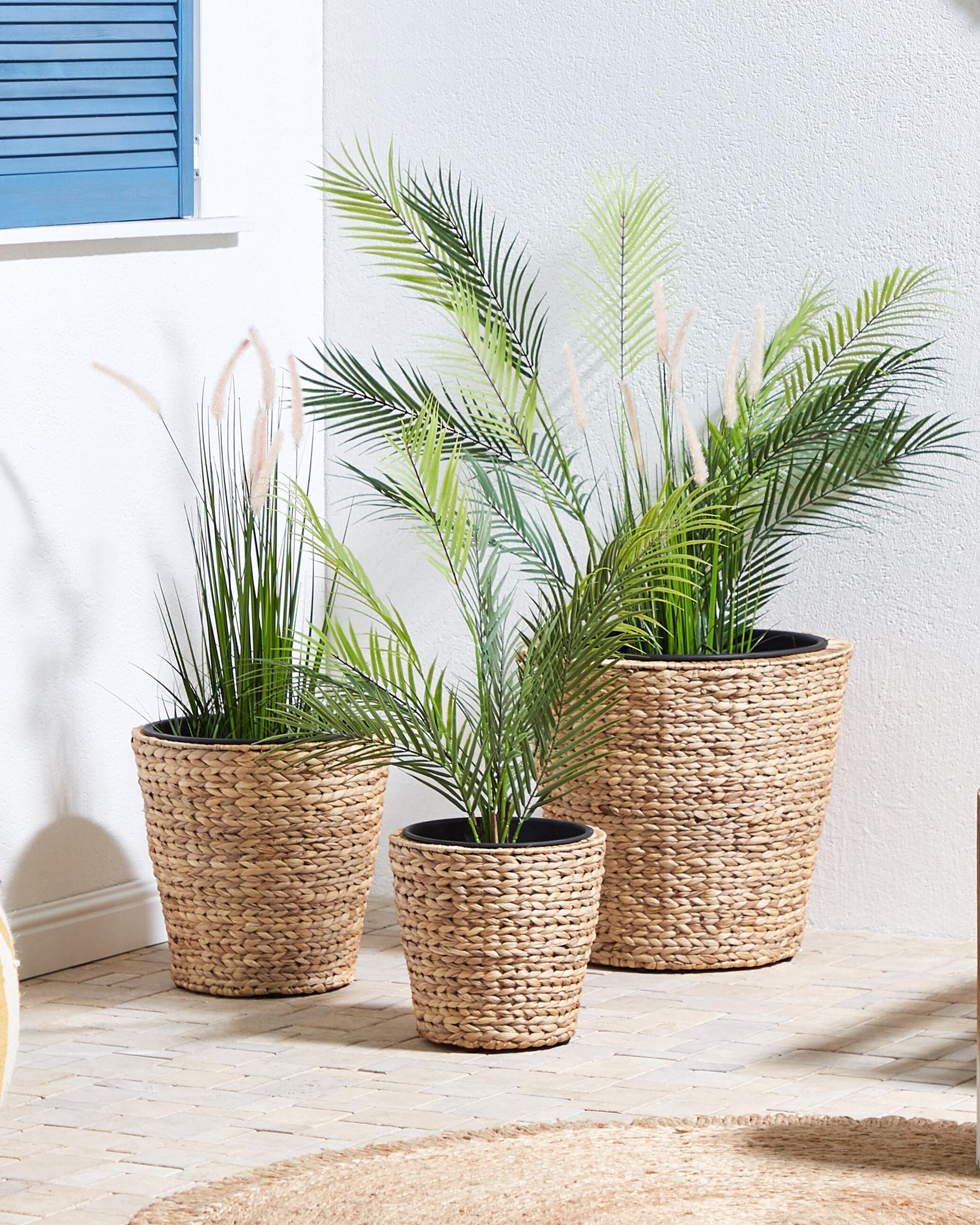 Set of 3 Plant Pots PLAKA Water Hyacinth 29/37/49 cm Natural