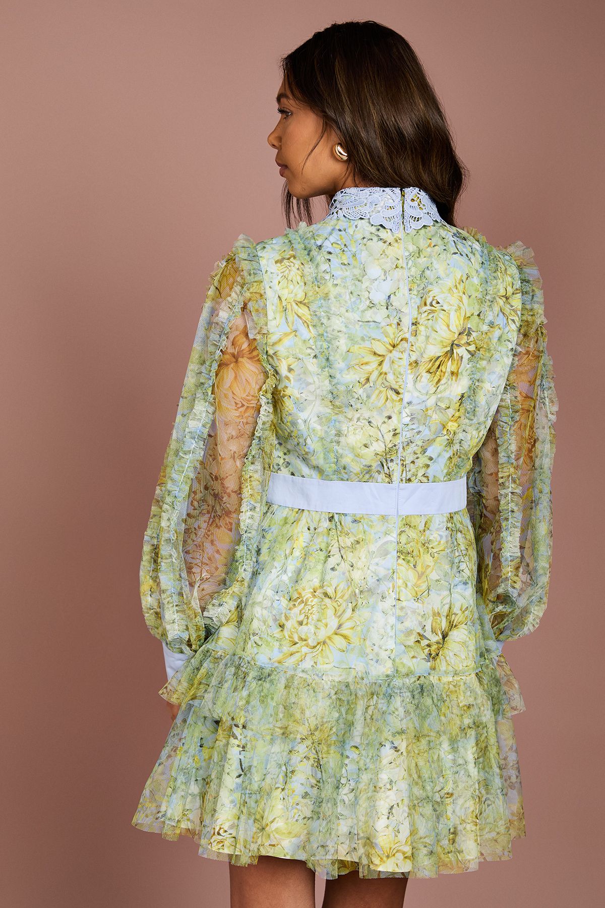 Coast Collared Printed Mesh Mini Dress