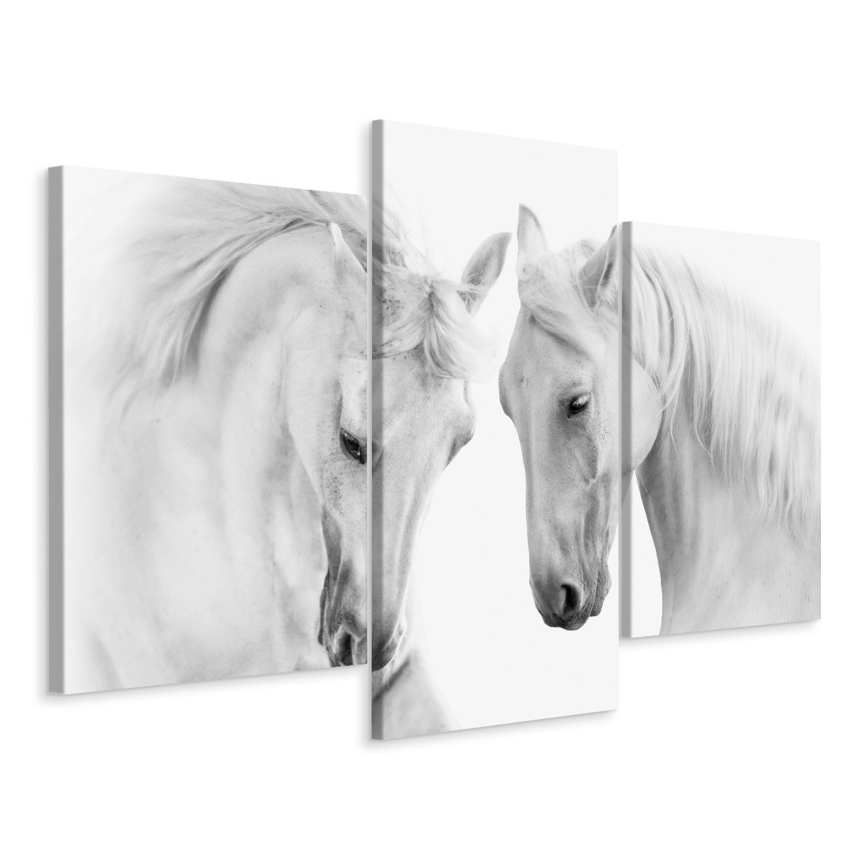 Obraz Tryptyk Do Salonu Białe KONIE Zwierzęta 60x40cm