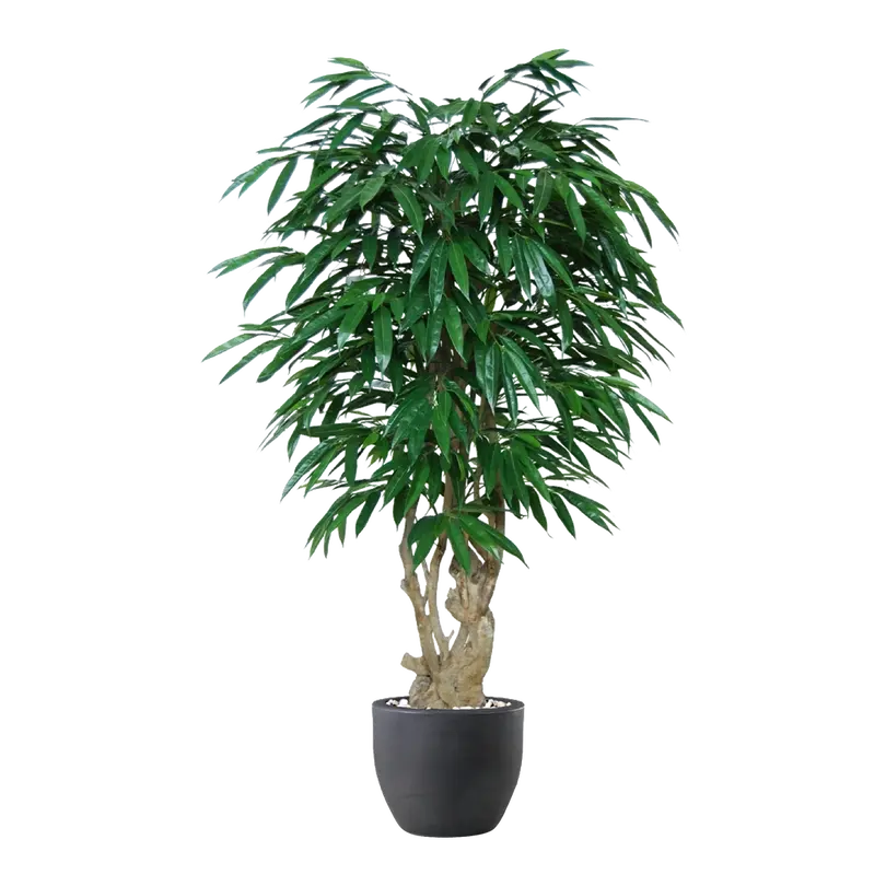 Kunstpflanze Longifolia