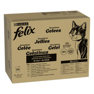 Felix Sensations Jumbo Pack 120 x 85g