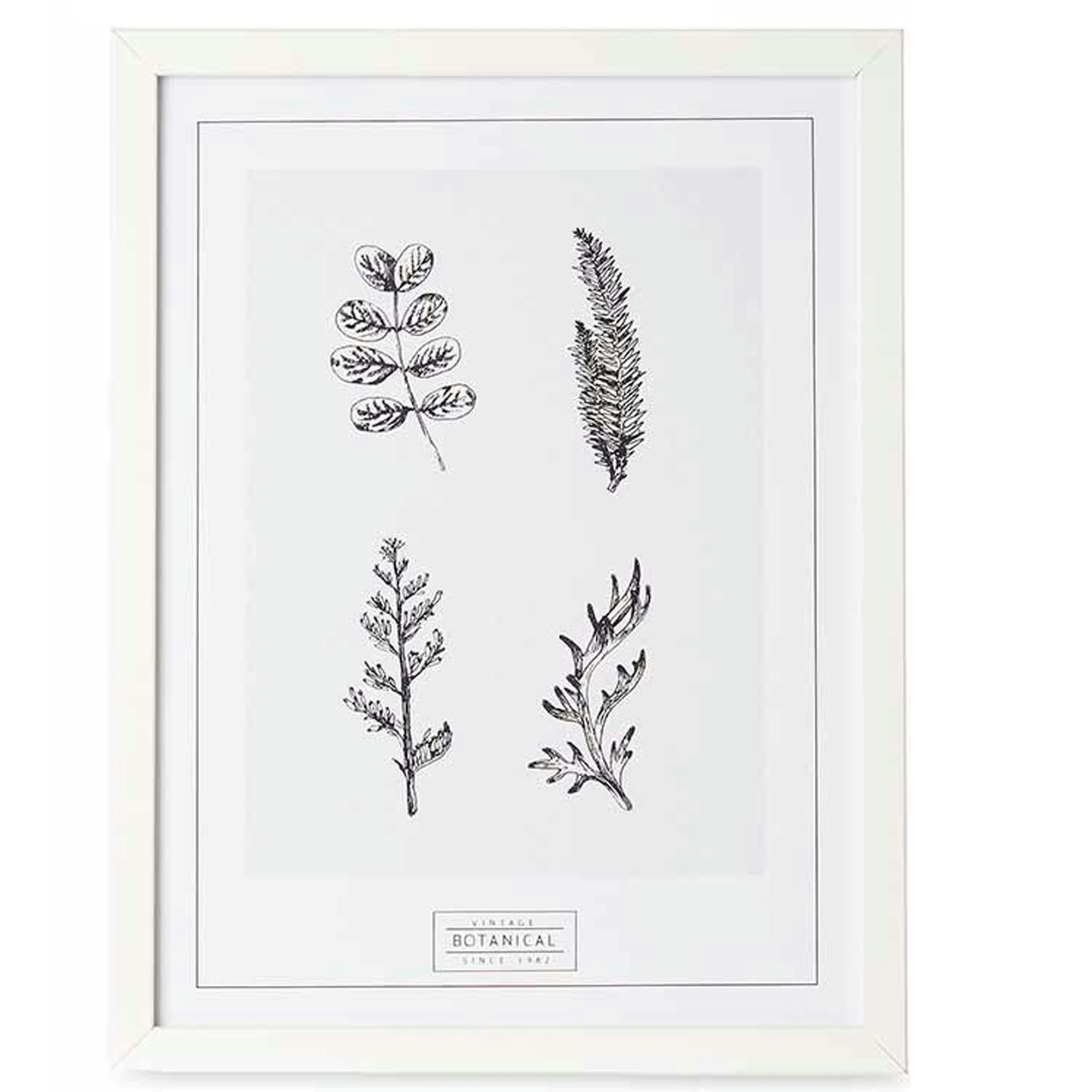 - Set de 2 tableaux décoratifs noir et blanc botanique