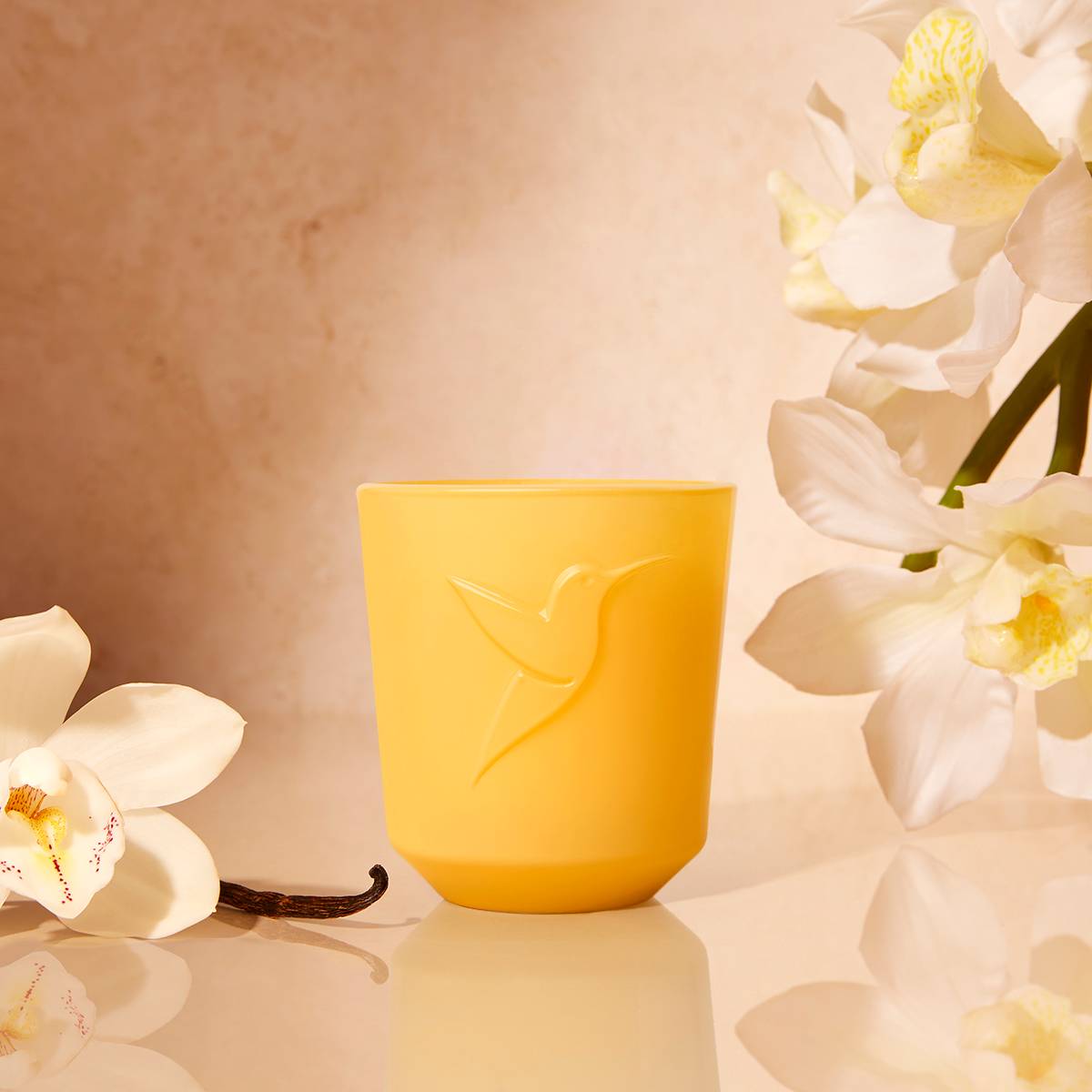 Vanille EternelleBougie 180g