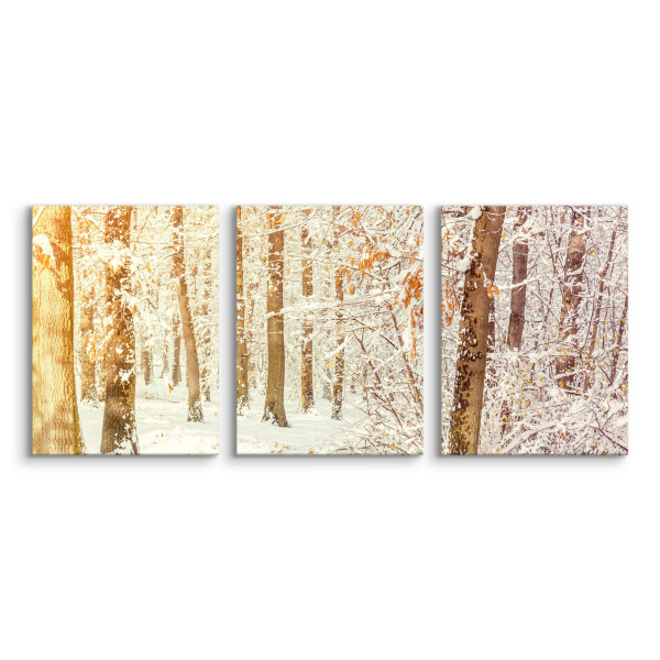 3x Obraz Set Zimowy Leśny Krajobraz 30x40cm