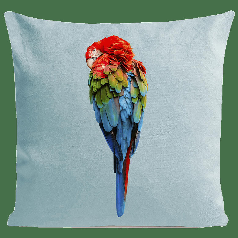 - Coussin tropical perroquet suédine bleu 40x40cm
