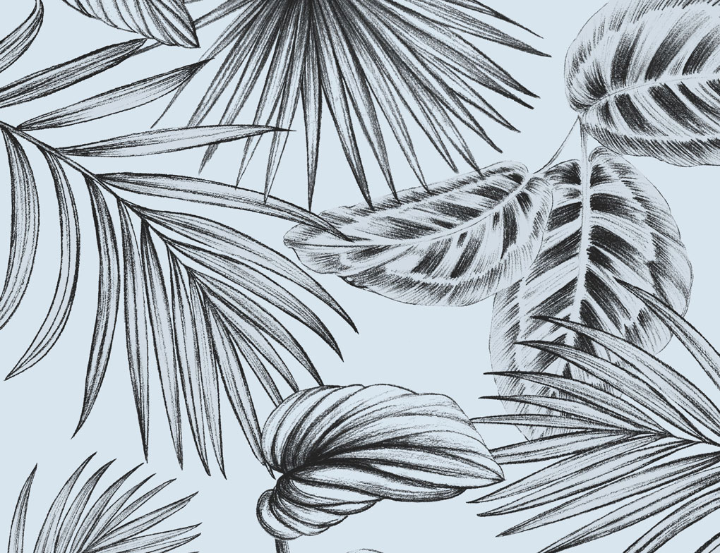 d-c-fix Glasdekorfolie Botanicals